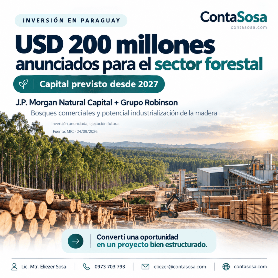 Paraguay: anuncian USD 200 millones para el sector forestal desde&nbsp;2027